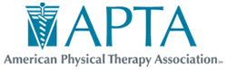 The American Physical Therapy Association